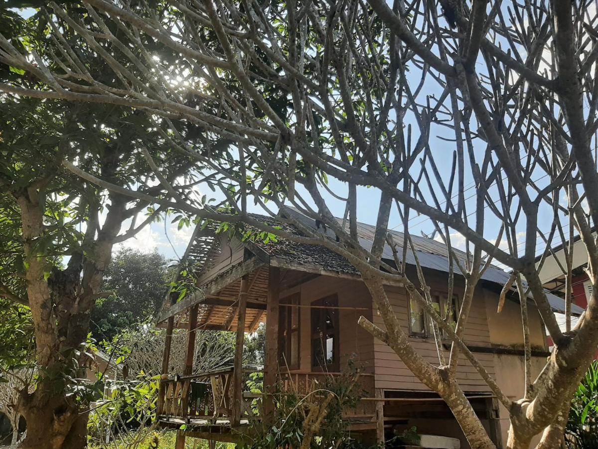 Pai River Jam Hostel & Campground Paj Kültér fotó