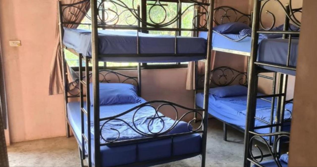 Pai River Jam Hostel & Campground Paj Kültér fotó