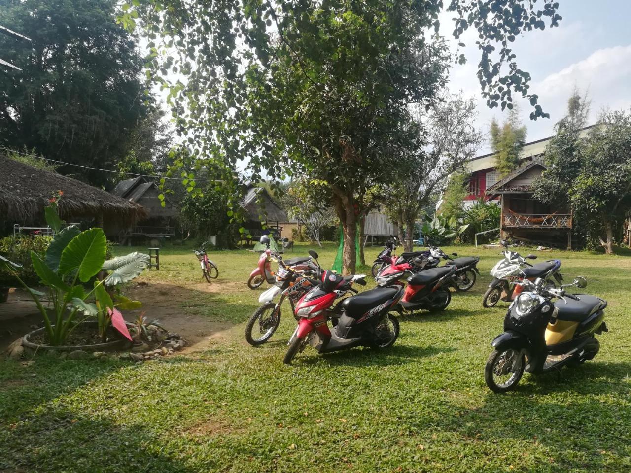 Pai River Jam Hostel & Campground Paj Kültér fotó